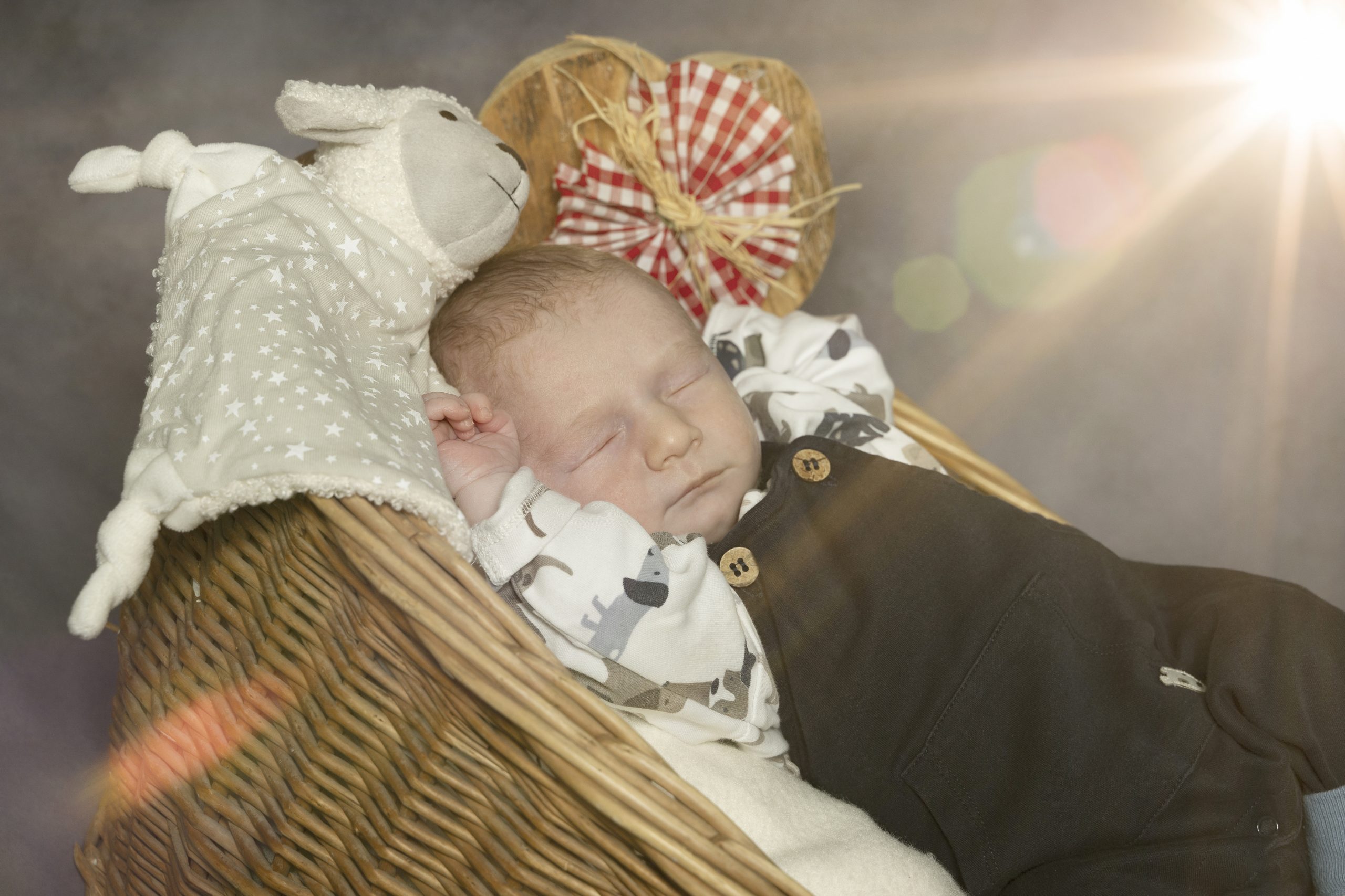 Eine Familie entsteht