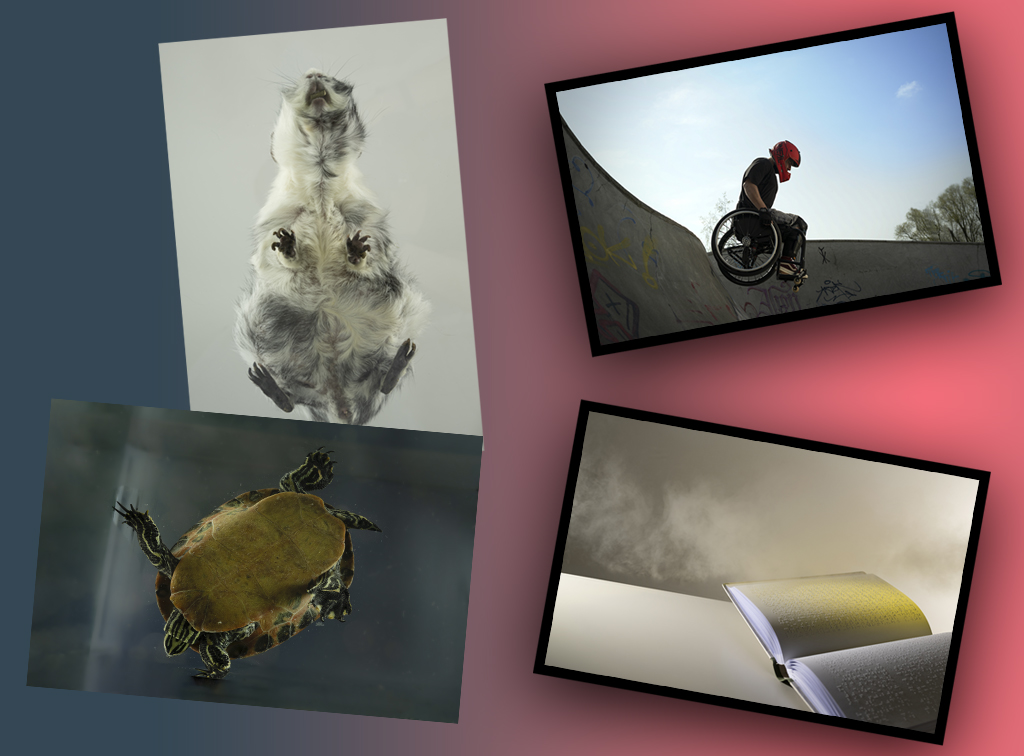 Ausstellungseröffnung: Verena Schäfer Fotografie – Perspektive + Kunstprojekt